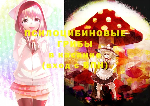 метамфетамин Богородицк